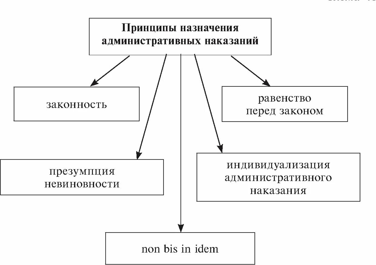 Принципы назначения административных наказаний. Порядок назначения административного наказания схема. Принципы наложения административных наказаний. Назначение административного наказания в схемах.