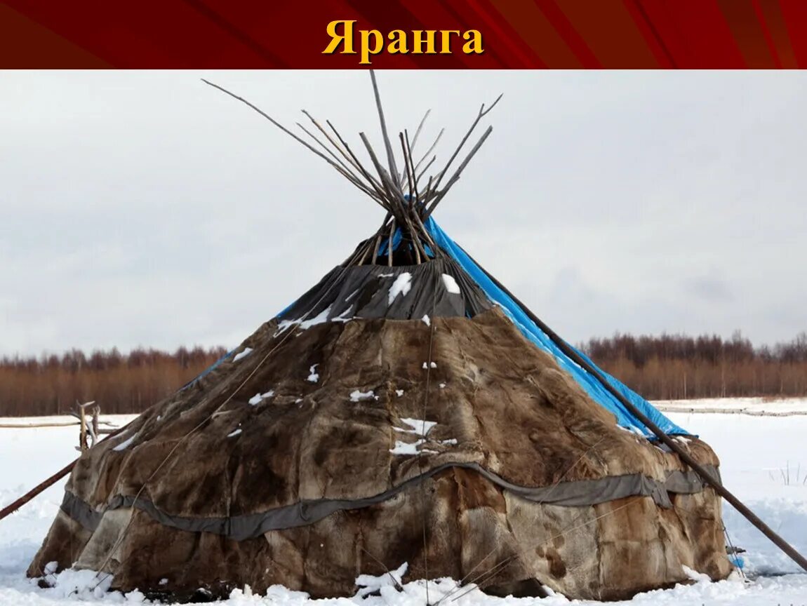 Жилище Коряков яранга. Чукчи жилище яранга. Яранга жилище народов севера. Якутская яранга. Жилище народов крайнего севера