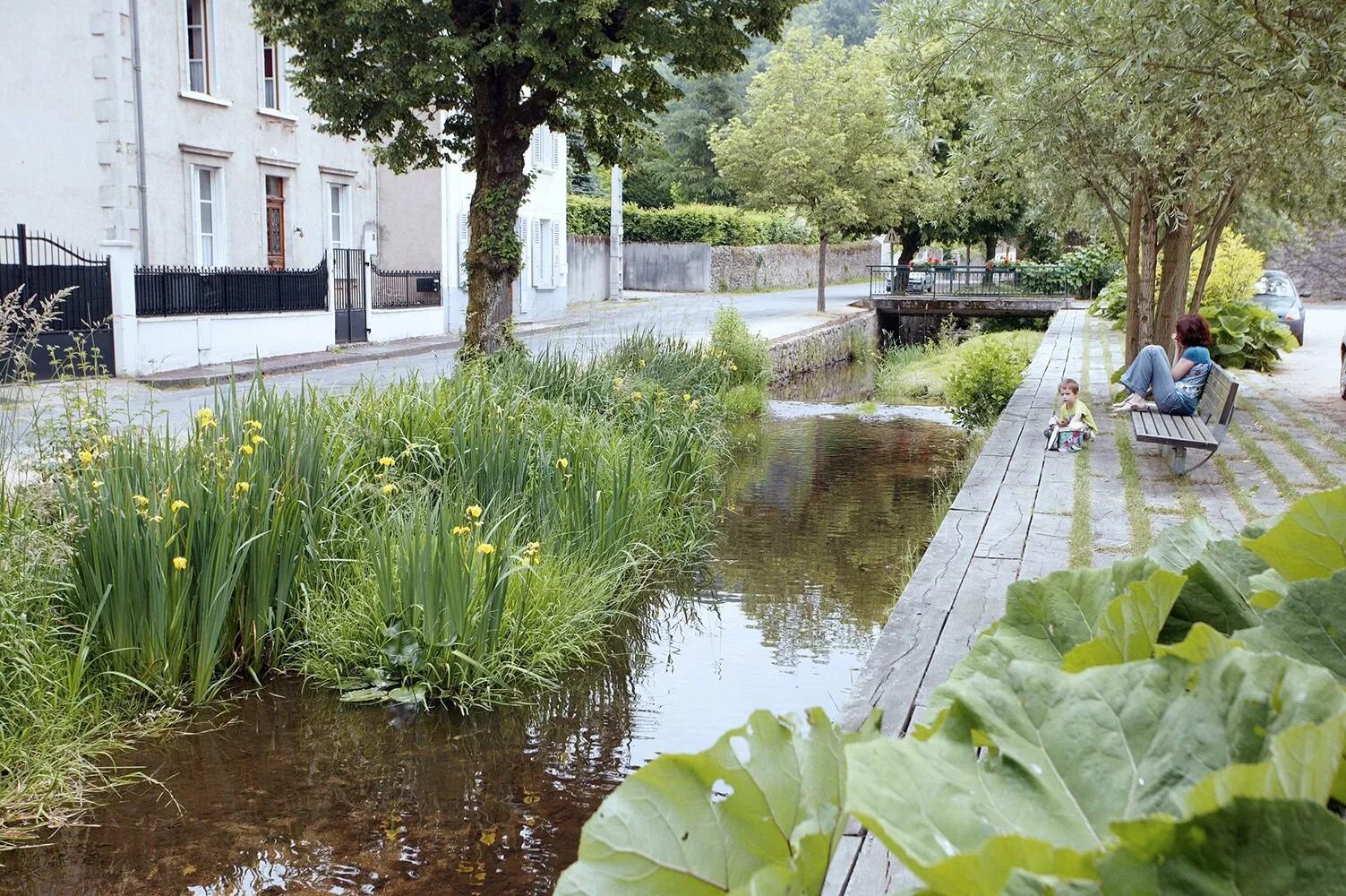 Благоустройство водоотводной канавы. Дождевой сад в европе. Биодренажные канавы дождевые сады. Дождевые сады. Дождевые сады.