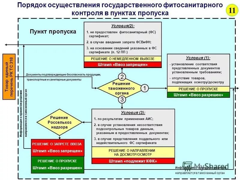 понятие государственного контроля. ответственность в сфере лицензирования. основания и порядок осуществления деятельности. порядок организации деятельности это. организация и осуществление воспитательной деятельности.