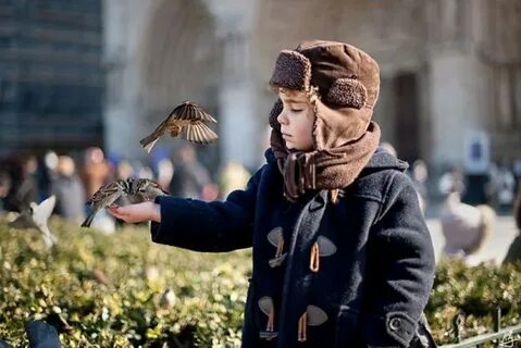 Доброта в жизни каждого человека