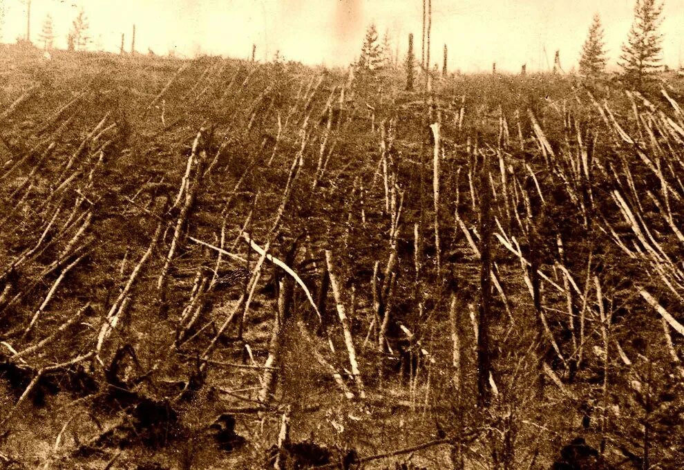 Тунгусский метеорит когда. Тунгусский метеорит 30 июня 1908 года. 1908 год тунгусский метеорит. тунгусский метеорит 1908 место падения. поваленный лес тунгусский метеорит.