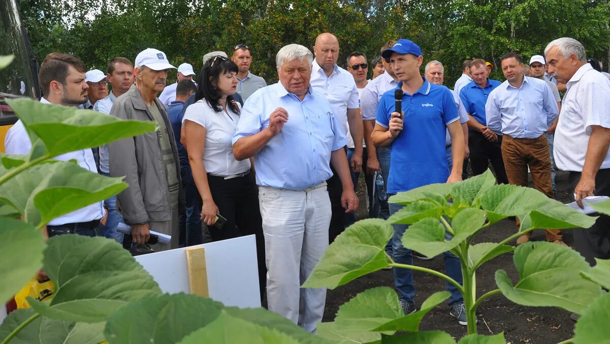 Погода в данилкине. ООО Приволье Гавриловский район. ООО Приволье Гавриловский район Тамбовской области.