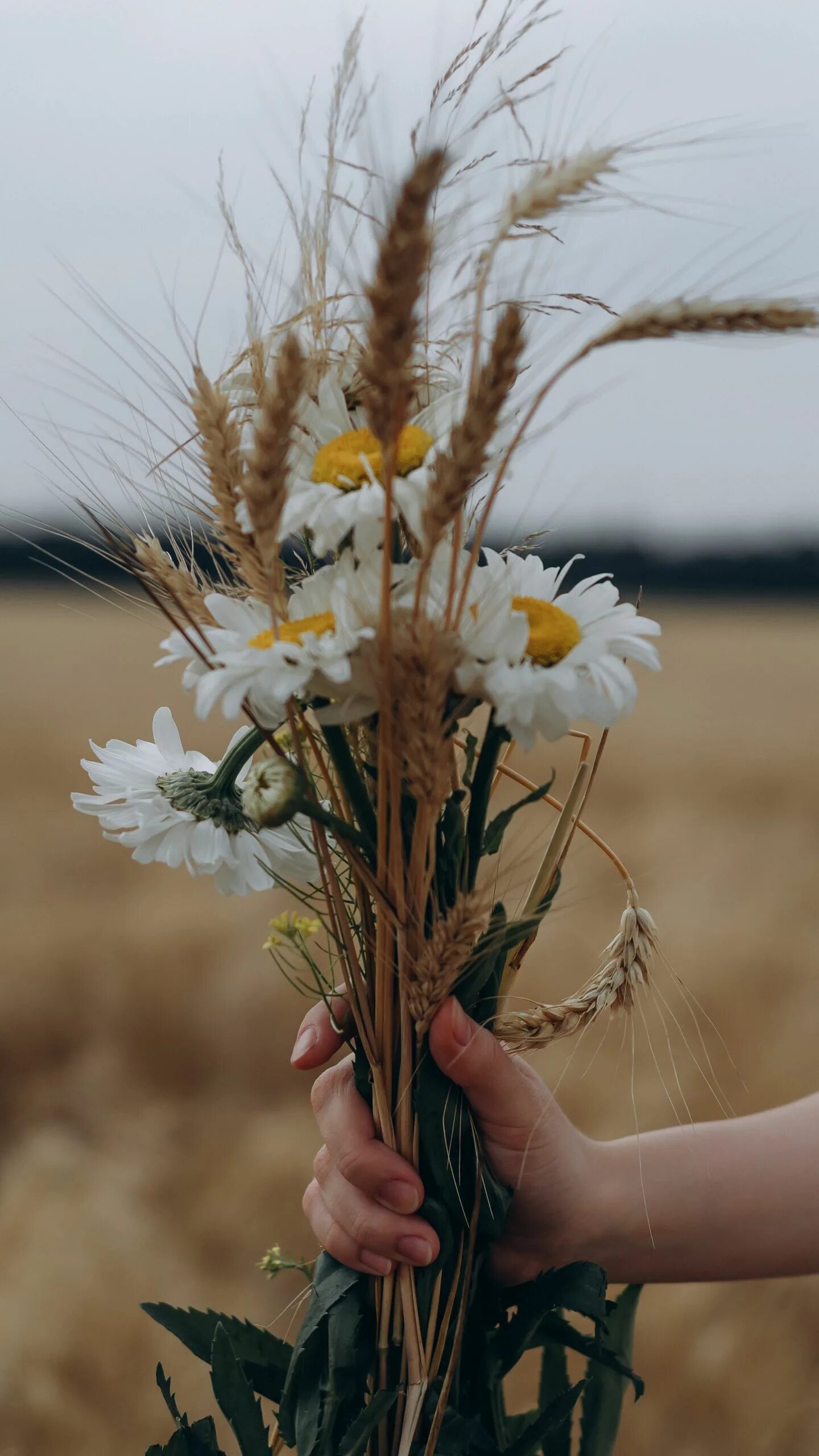 Композиция из полевых цветов. Букет поле. Букет поле. Букет полевых цветов в руках. Флористика полевые цветы.