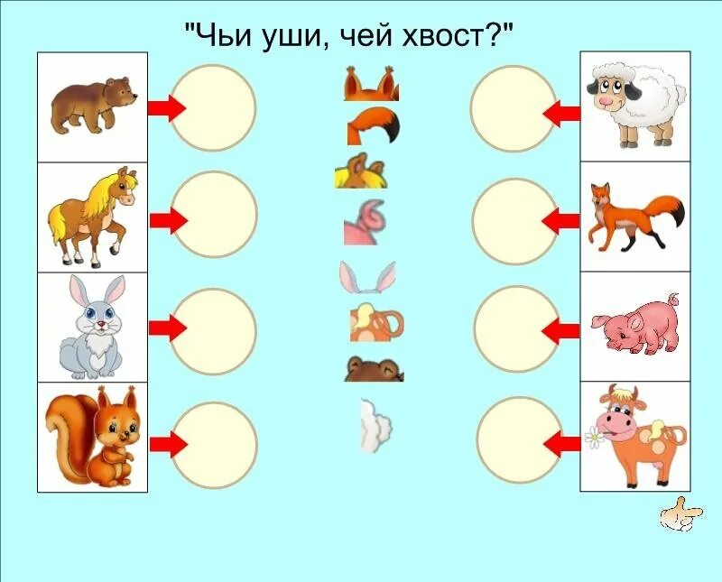 Угадай чей родственник. Задания для детей с домашними животными. Чей хвост домашние животные. Задания с животными для дошкольников. Домашние животные для дошкольников.