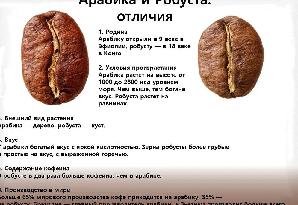 Кофе робуста отличается. Отличие арабики и робусты. Зерна Робуста и Арабика отличия. Зерна Арабика и Робуста различие. Робуста и Арабика различия.