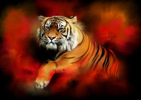 Год тигра картинки