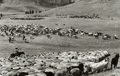 Жетілген лесбиянка порно