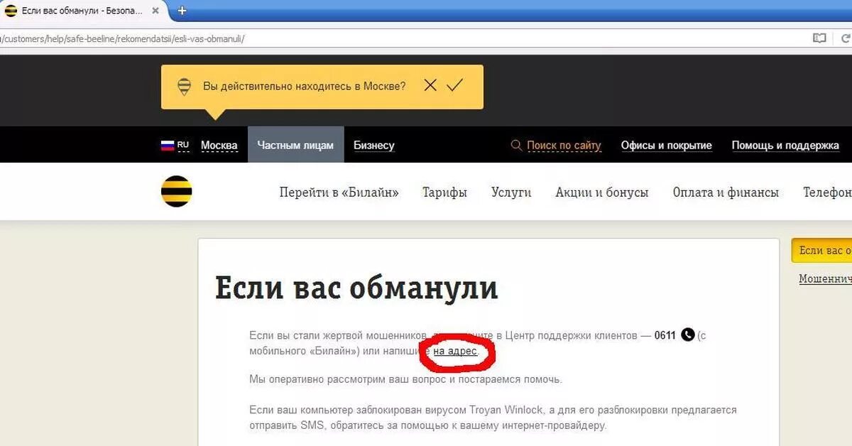 Телефон службы билайн бесплатный. Номер службы поддержки Билайн. Билайн техподдержка. Номер телефона поддержки Билайн. Номер Билайн центра.