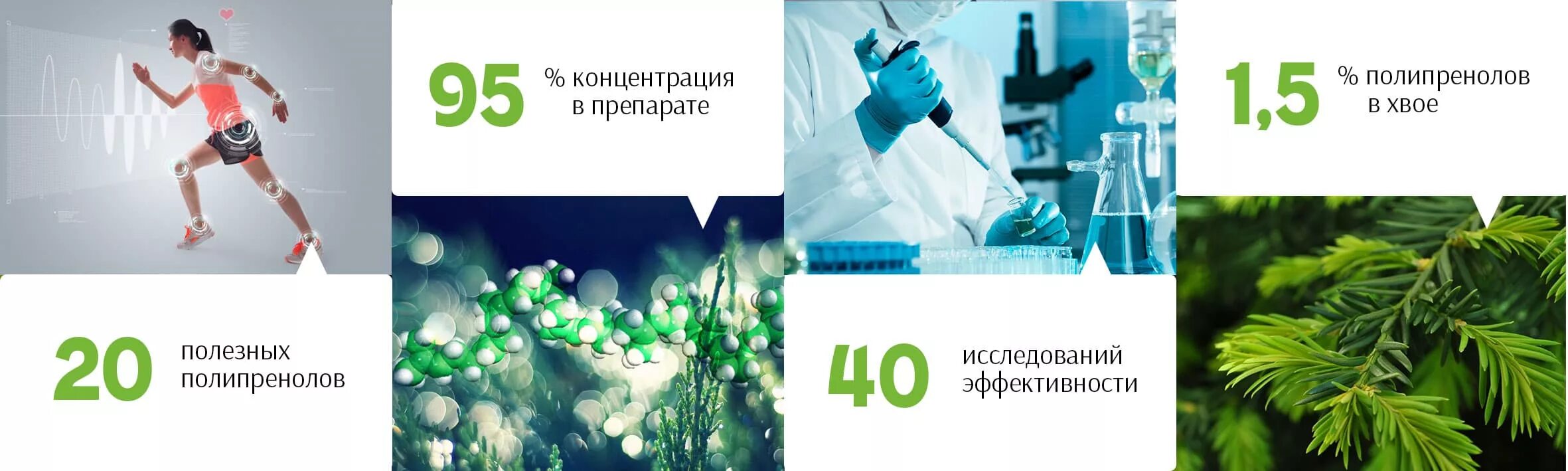 Полипренолы что это такое и для чего. Полипренолы. препараты с полипренолами. полипренолы для печени. полипренолы чем полезны.