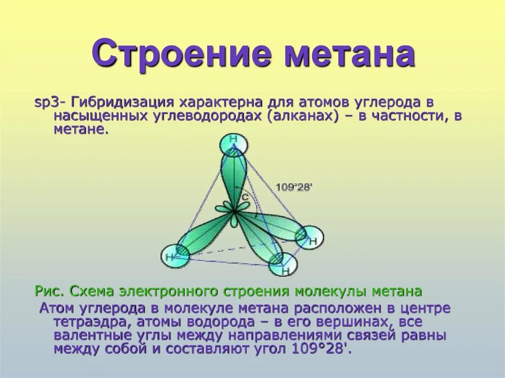 Алканы имеют молекулярное. Строение молекул метана связи. Строение метана алканы. Молекула метана sp3. Строение молекулы метана.