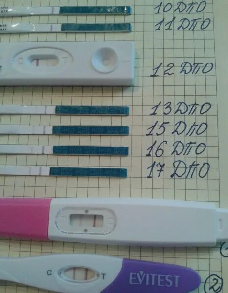 Задержка тест отрицательный почему форум. Эвитест на 15 дпо. эвитест на беременность до задержки 5 дней. эвитест на беременность на 22 день цикла. 15 дпо тест.