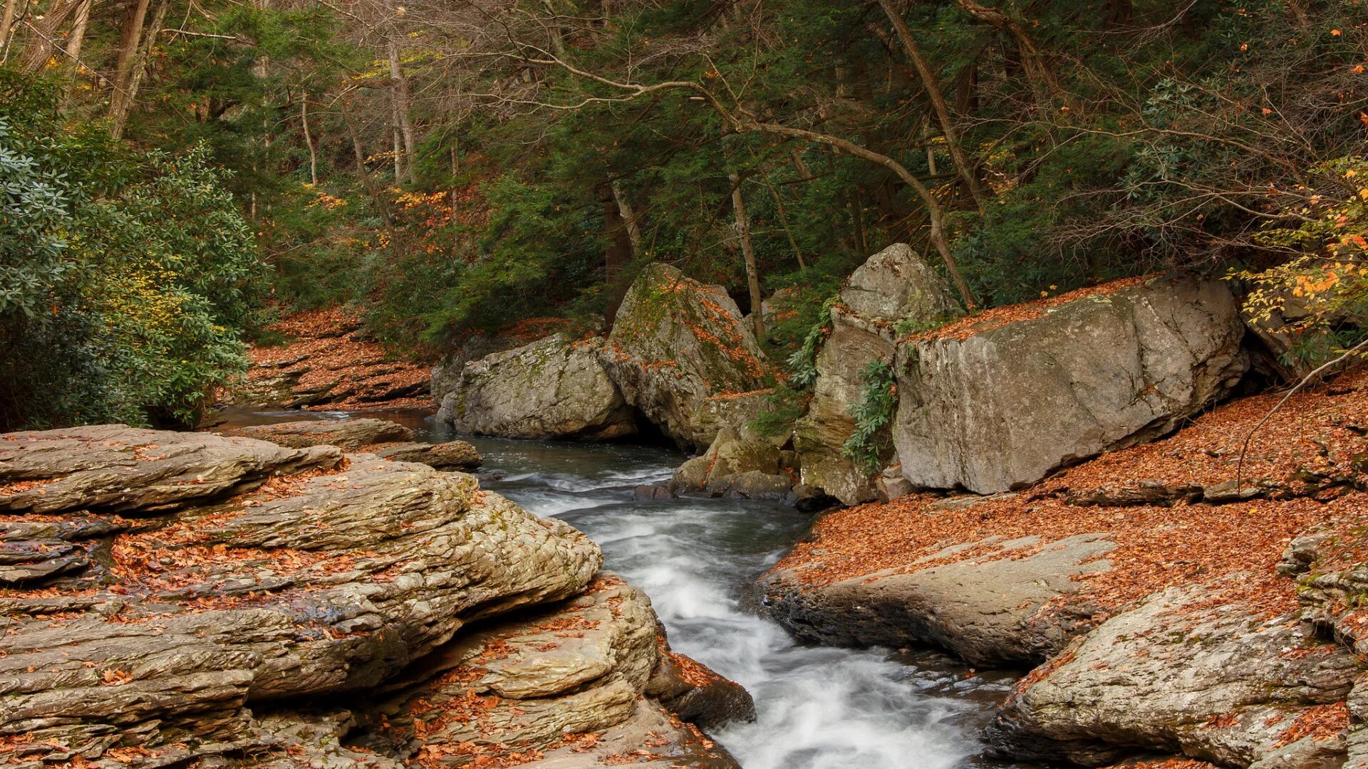 Stone river. Ручей Джалон. Река Убин. Ручей фей Вьетнам. Горная река.