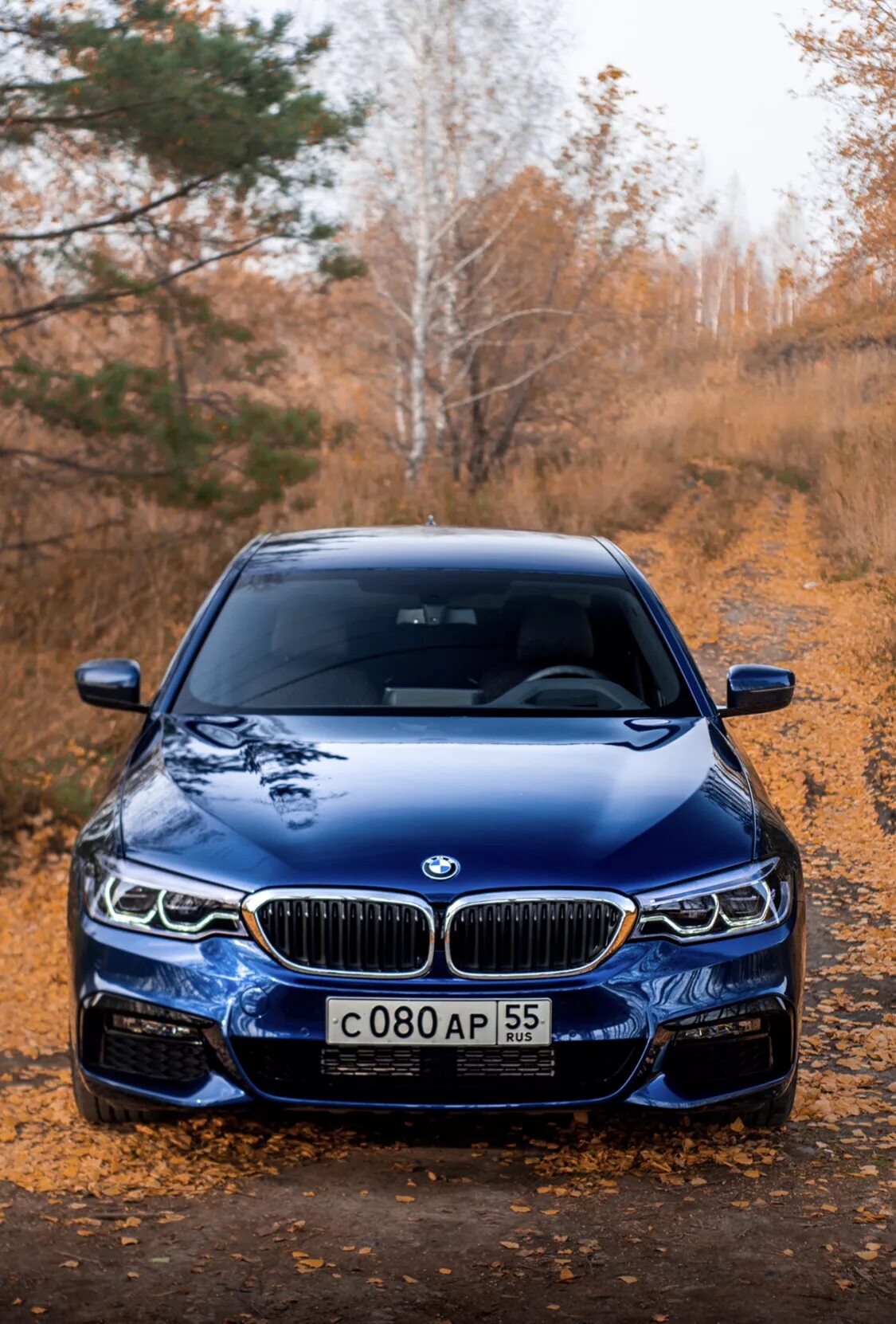 Bmw сток. БМВ м5 Сток. БНВ 5 Сток. БМВ 530. BMW обычная.