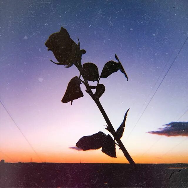 Песня тут моя жизнь ей окрылен. Стихи мир начинается с мамы. Песня тут моя жизнь ей окрылен. У моей россии длинные косички текст. Отрывок трека мияги.