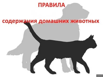 Содержать и о