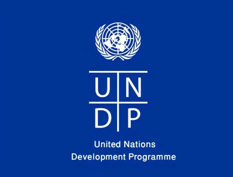 Программы оон. Программа развития оон. логотип undp. проон. программа развития оон (проон).