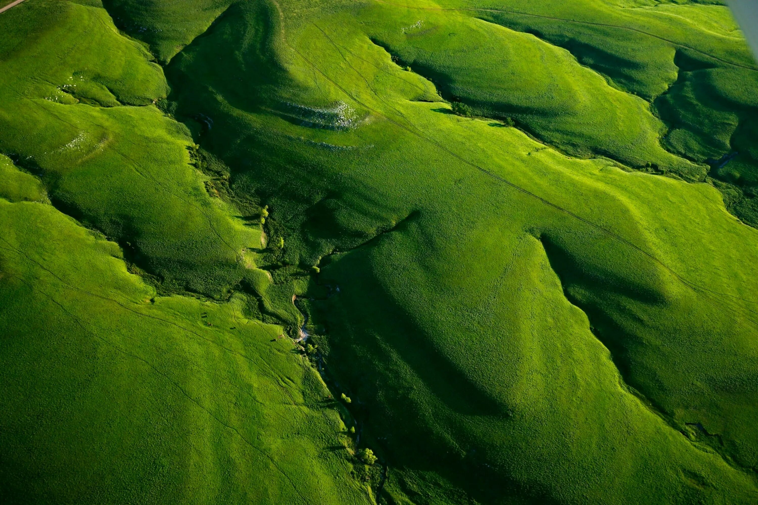 Зеленый цвет. Красивый зеленый. Красивый зеленый цвет. Зеленая природа.