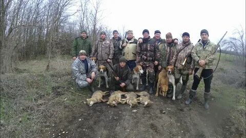 Отстрел хищников