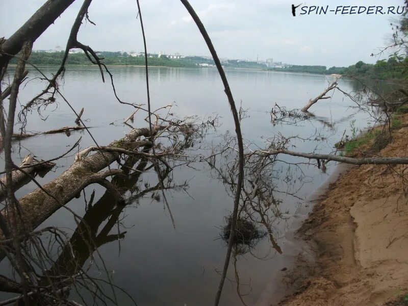 Меькенский коряжник. Коряжник рыбалка. Васильсурская слобода база отдыха. Большие окуни трофеи. Загрязнение воды саратовской области.