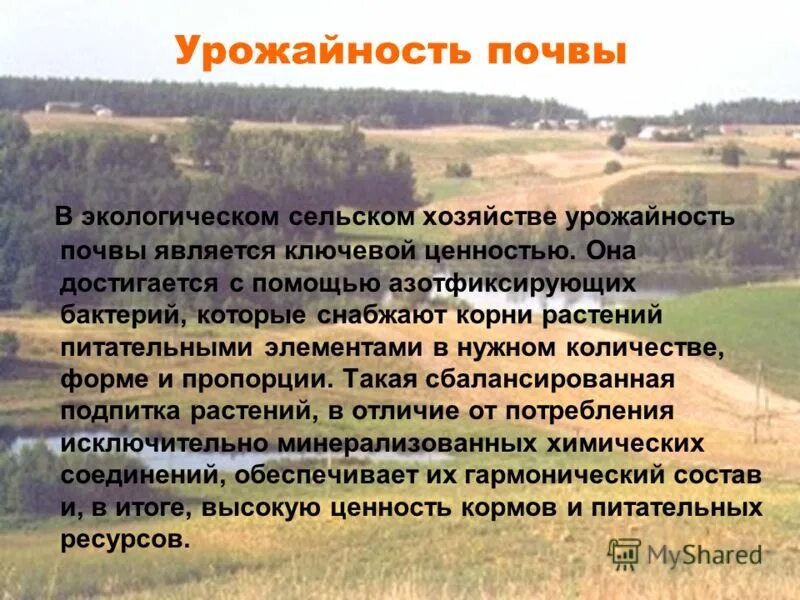 Типы сельского хозяйства мира таблица. Отличие агроценоза от биоценоза. Почему каждому потребителю сельскохозяйственных. Отличия аргоценлзп от биоценлзе. Памятка поведения потребителя н финансовом рынке.