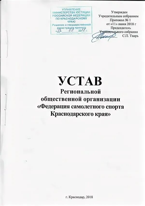 Устав спортивной федерации. Устав спортивной общественной организации. Устав РОО. Устав региональной общественной организации 2023. Устав региональной общественной организации 2023 образец.