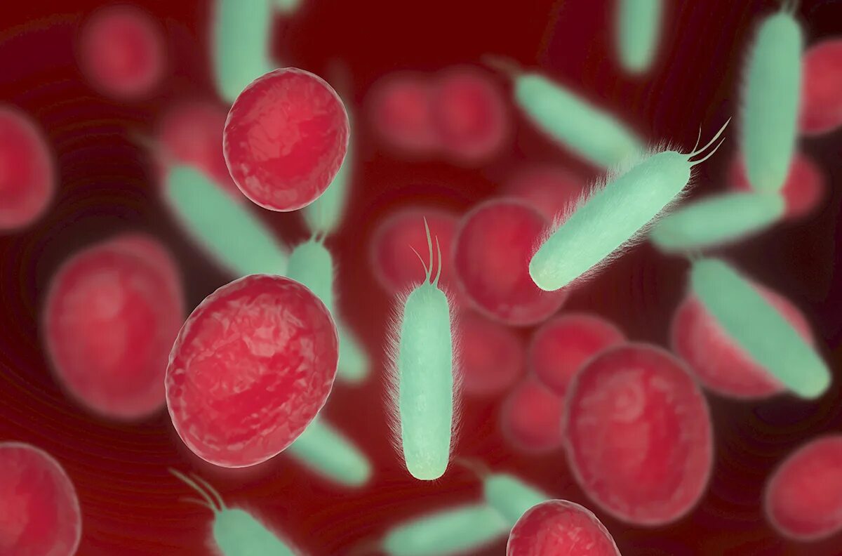 Чума бубонная бактерия. Красный вирус. Серрация марцесценс. Бактерии красного цвета. Микроорганизмы в красном круге.