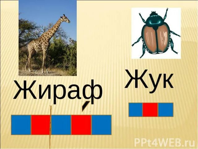 Твердые звуки в слове жирафов. Звуковые схемы с буквой ж. Жираф звуковая схема 1 класс. Жираф звуковая схема звуковая. Звуковая схема слова Жираф.