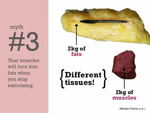 Be fat codes. Формулы fat vs.