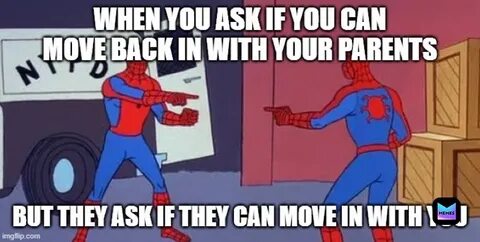Mr thank you spider man