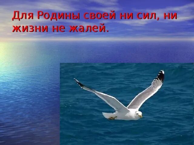 Для родины своей ни сил ни жизни. Для Родины своей ни сил ни жизни не жалей. Для родине своей ни сил ни жизни. Для Родины своей ни сил пословица. Для Родины своей ни сил ни жизни не жалей объяснение пословицы.