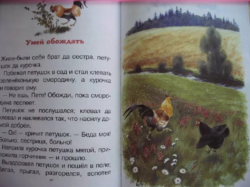 Лес и ручей Ушинский. Книга Ушинского родное слово. Родное слово новосибирск