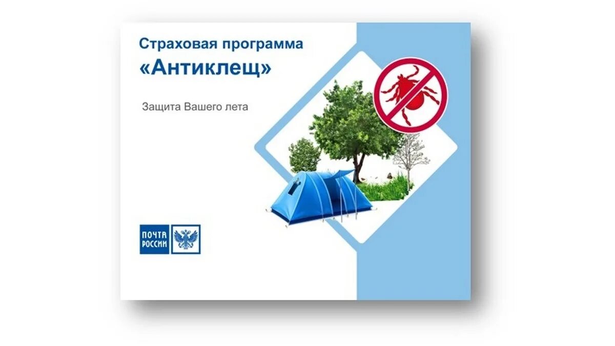 Страховая антиклещ. Страховая программа Антиклещ. Антиклещ почта России. Страховка Антиклещ на почте. Коробка Антиклещ.