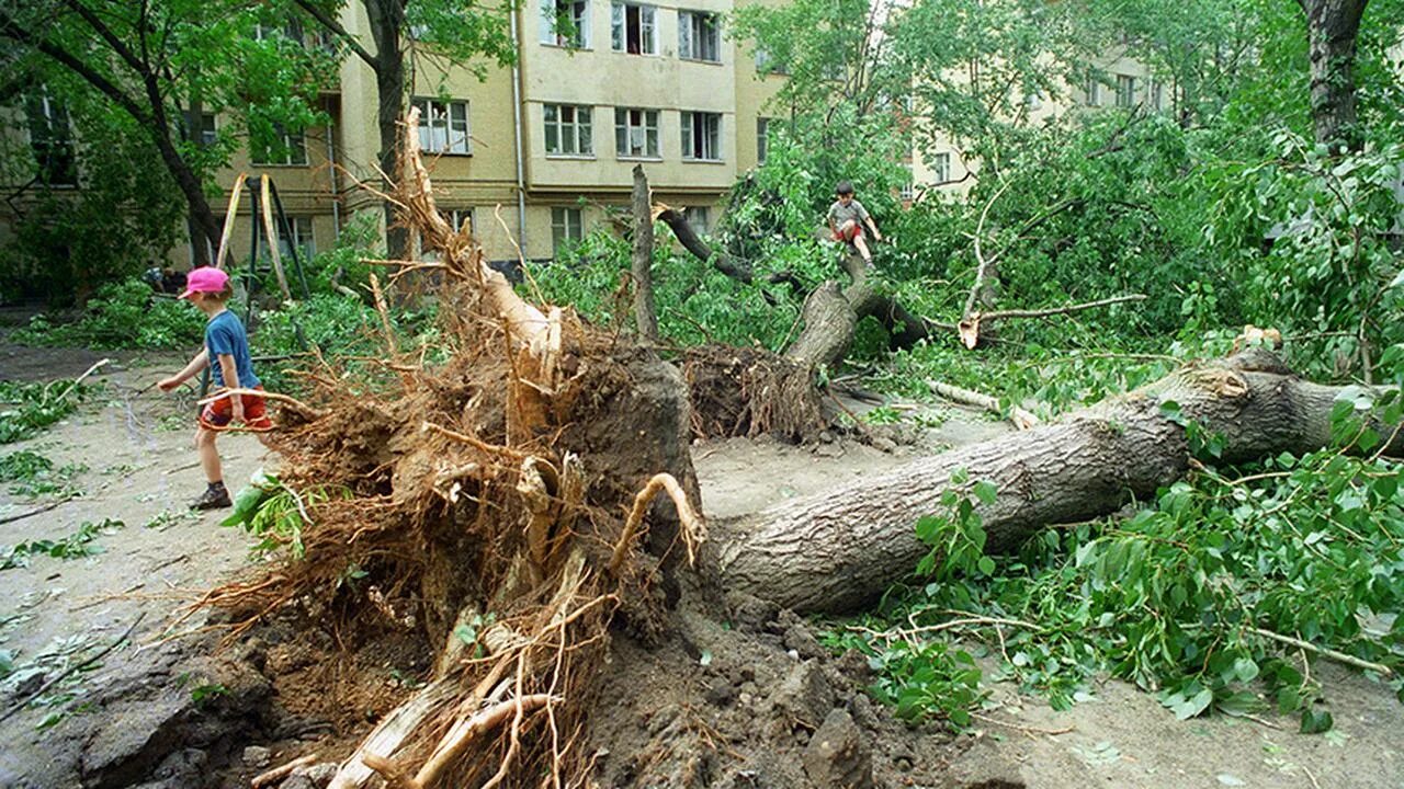 Москва ураган 20. Москва ураган 20. Москва ураган 20. Ураган в москве 1998. Москва ураган 20.