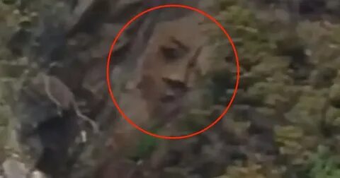 Человечеству необъяснимо