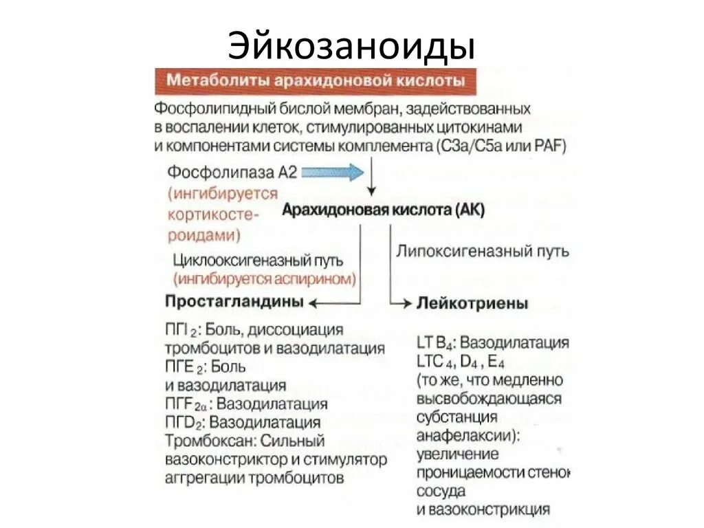 Эйкозаноиды биохимия классификация. Источники синтеза эйкозаноидов. Эйкозаноиды схема синтеза. Эйкозаноиды из арахидоновой кислоты. Формула арахидоновой кислоты