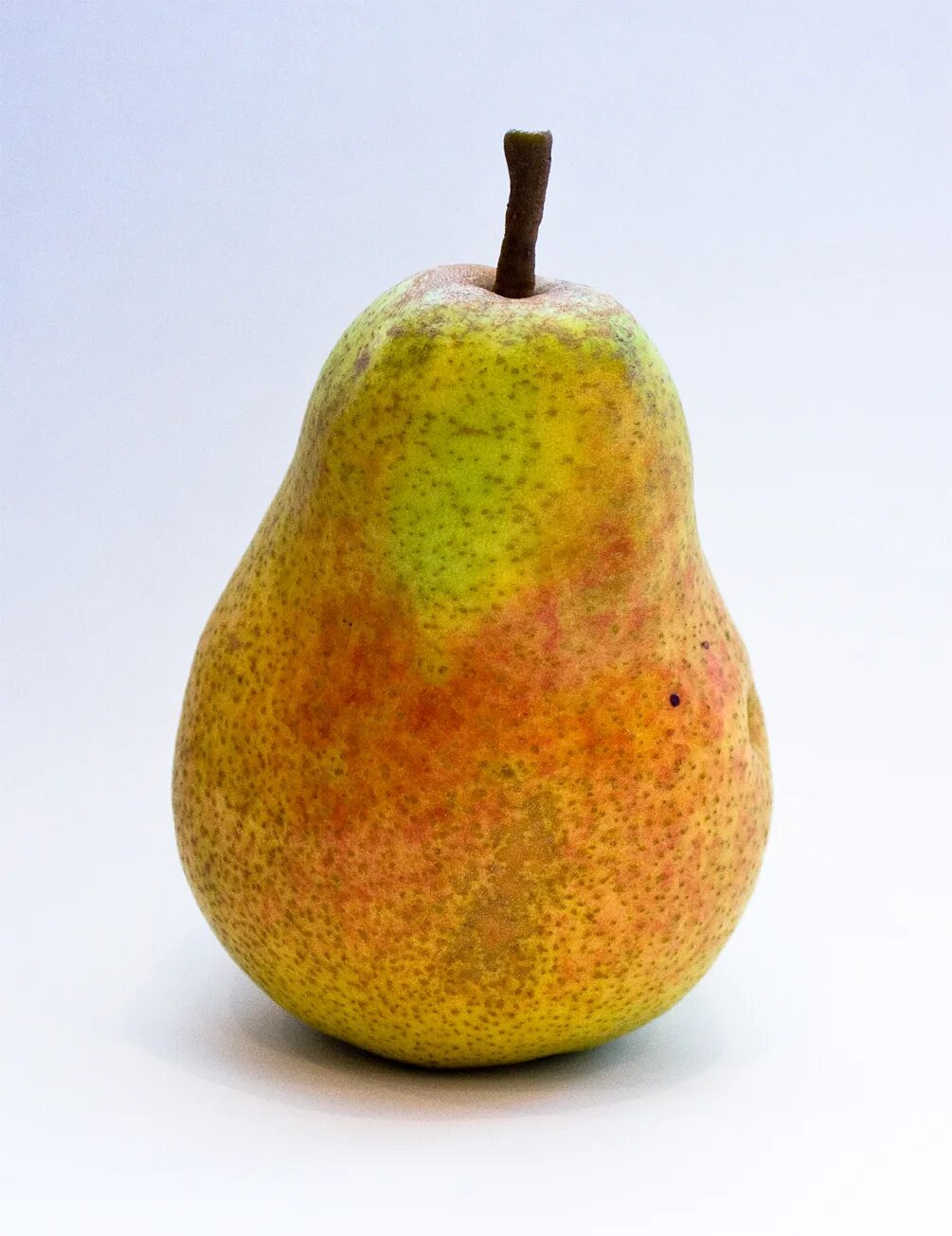 Mazzone pear. Груша Армут. Цвет груша. Форма груши.