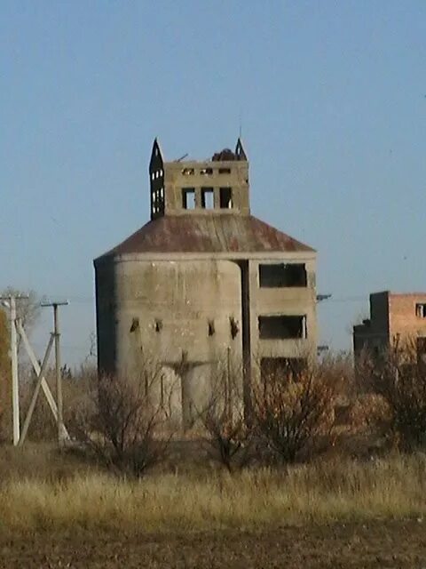 Тростников. Город тростников. Много камышей. Тростник озерный. Набережная города липецка.