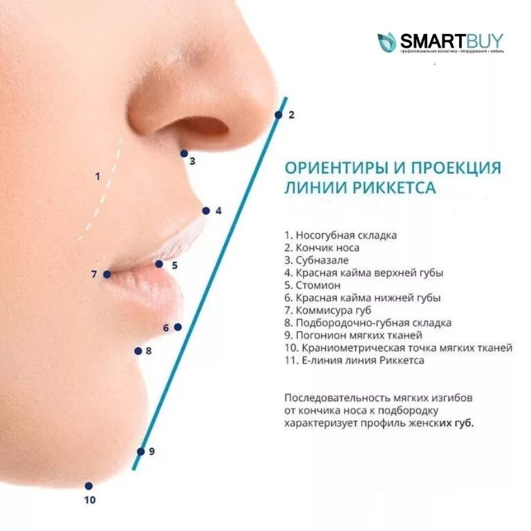 Между носом и ртом. Линия Рикетса. Линия от носа до подбородка линия Риккетса. Линия между губами и подбородком. Схема лица для контурной пластики.