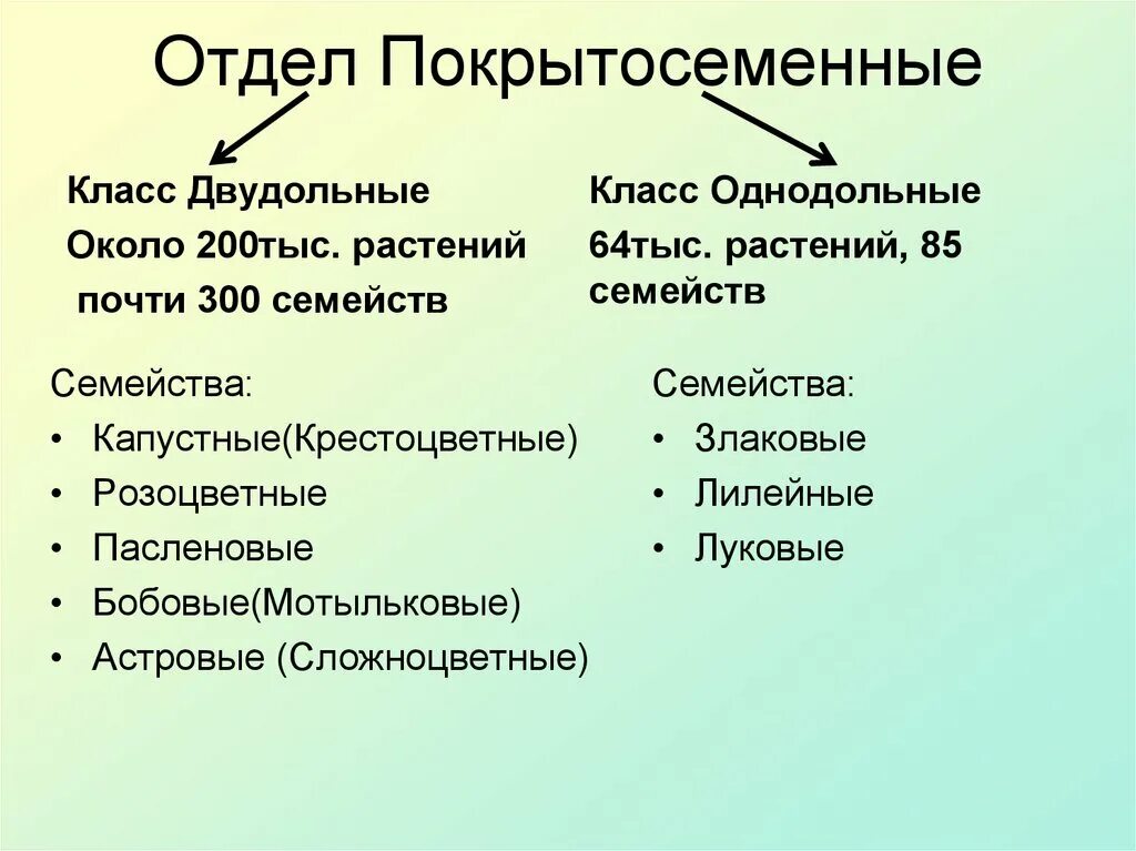 Отдел покрытосеменных 6 класс