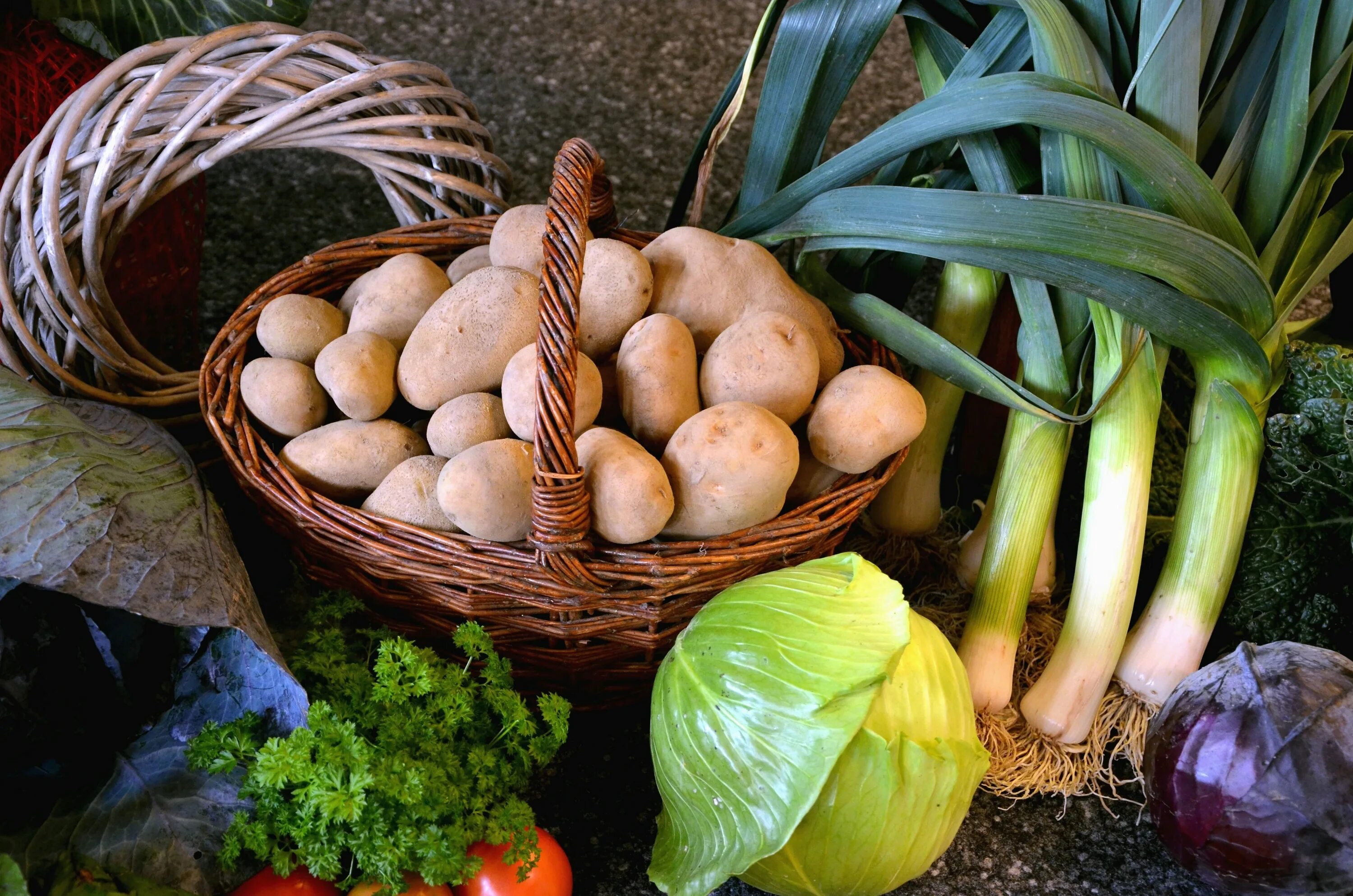 Лук чеснок и картофель. Урожай. Овощи картофель. Овощи и фрукты картошка лук. Ранние овощи.