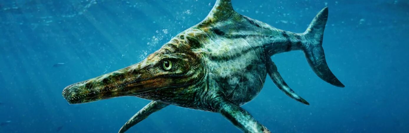 Ихтиозавр вторичноводный. Ихтиозавр. Водные монстры. Осьминог Ихтиозавр. Скелет ихтиозавра.