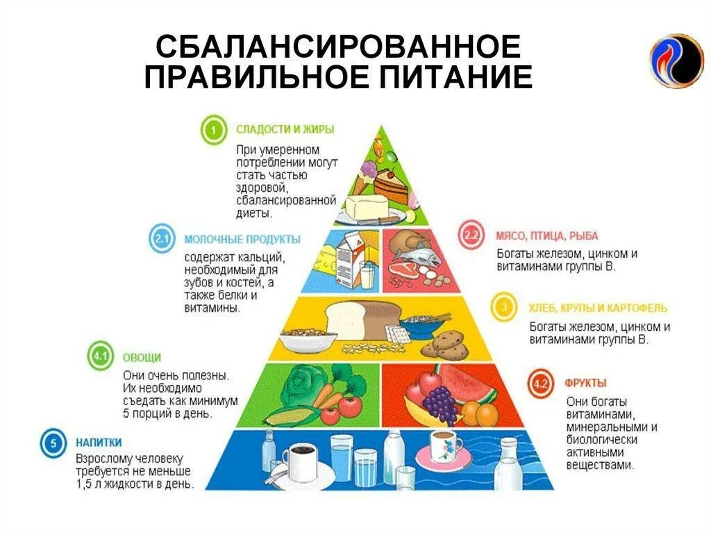 Диета для ребенка 4 года. Гарвардская пирамида здорового питания. Пищевая пирамида правильного питания воз. Пирамида рационного питания. Пирамида рационального питания воз.