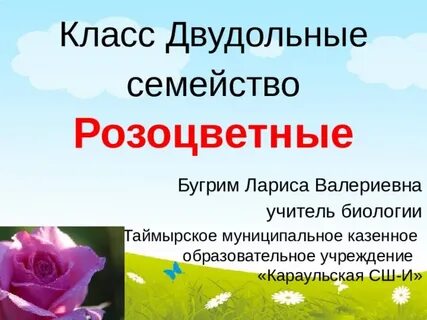 Класс двудольных розоцветных