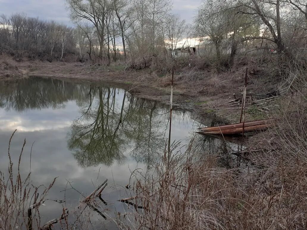 Паводок в бузулуке оренбургской области 2024. Исчезающие водоемы. Пруды в Бузулуке. Бузулук затопление. Бузулук водоемы рядом.