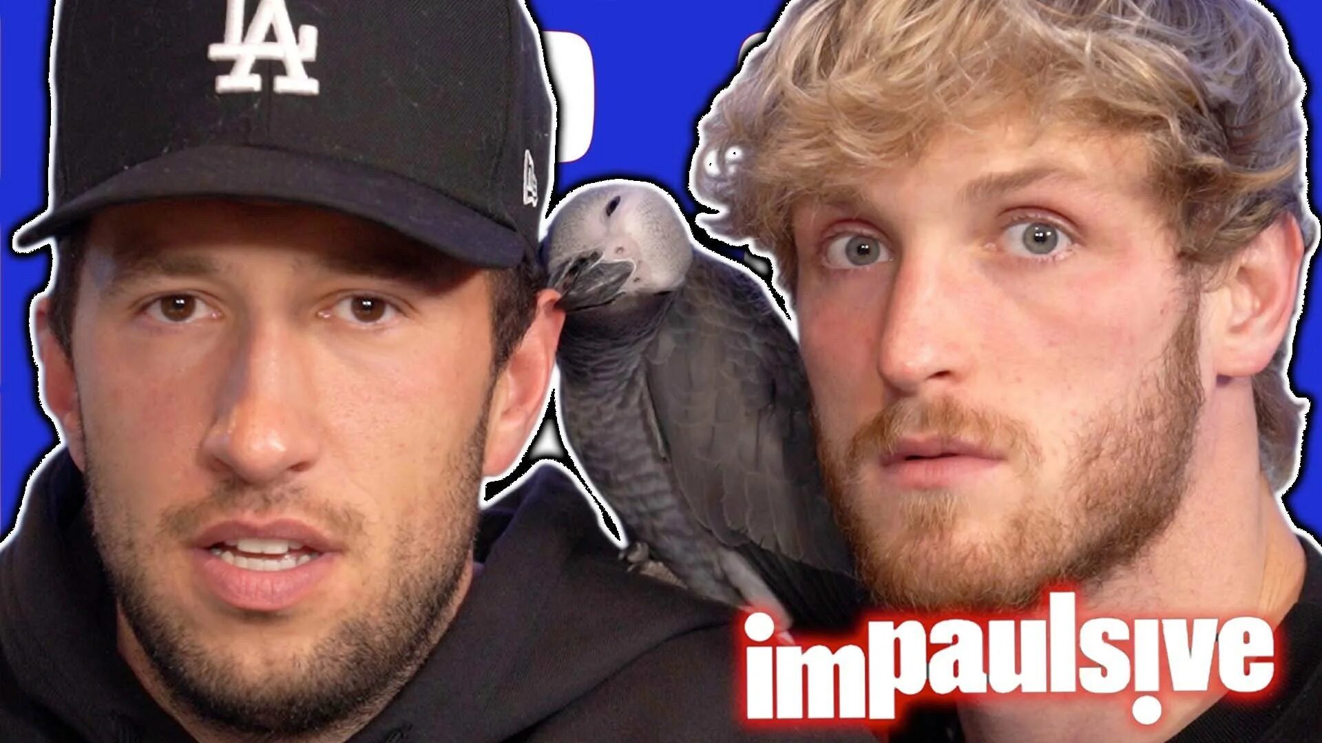 Логан пол и Майк. Logan Paul Podcast. Логан пол подкаст м MJF. Mike golpea a Logan. Майк логан