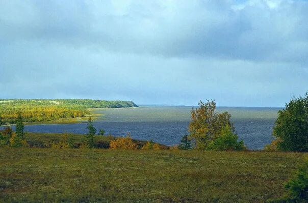 Карское море обская губа. Карское море тазовская губа. Новый порт ямало-ненецкий автономный округ. Обской ямало ненецкий автономный. Полуострове гыдан в янао.