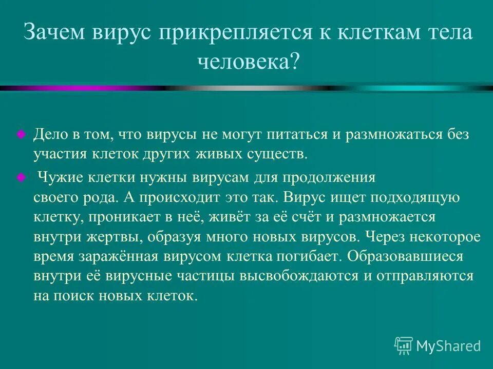 Почему вирусные. Для чего нужны вирусы человеку. Вирусы размножаются. Способ борьбы с вирусными заболеваниями человека. Вирусы и вирусные инфекции.