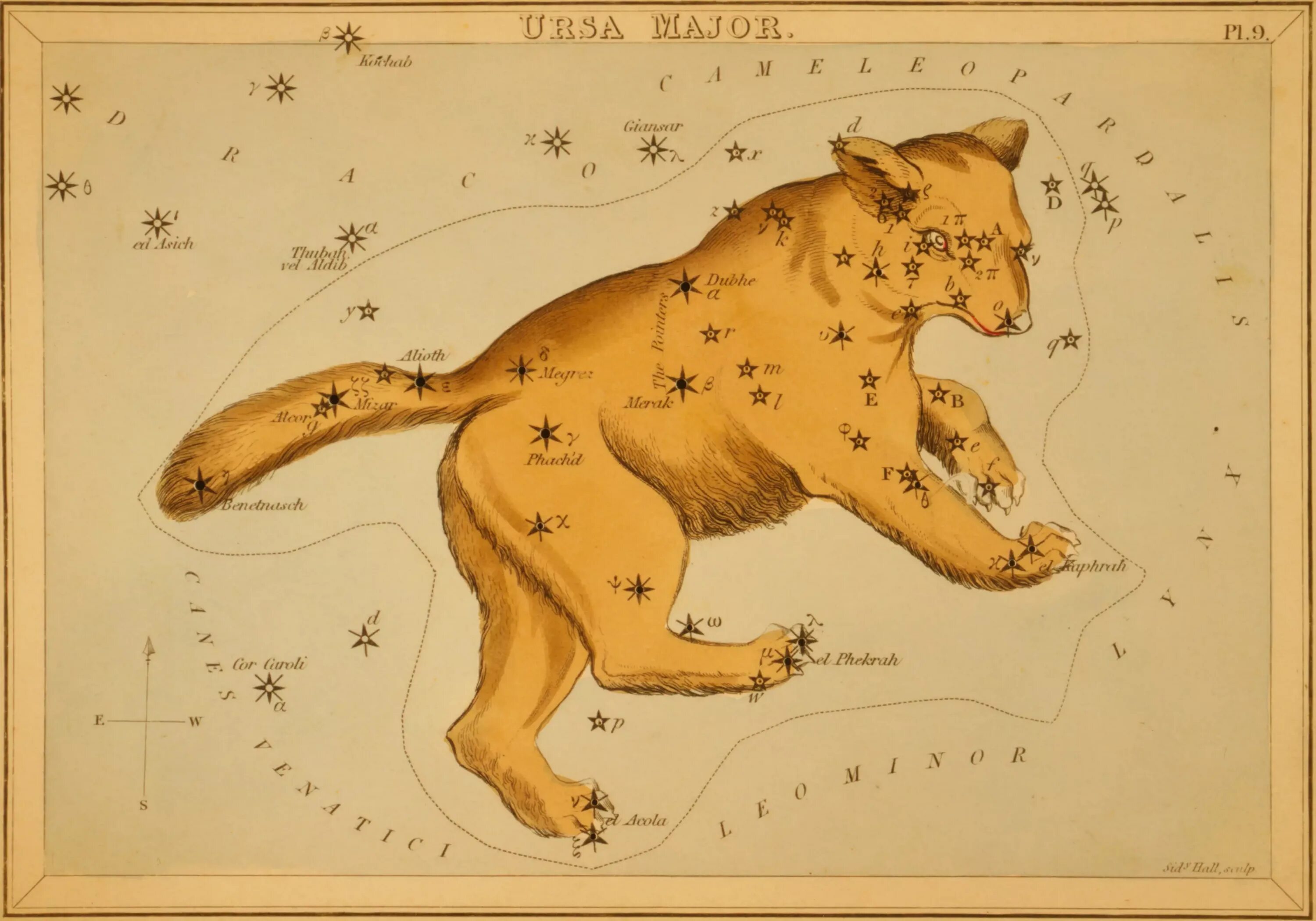 Большая медведица карты. Ursa Major Созвездие. Большая Медведица Созвездие. Большая Медведица (Ursa Major).