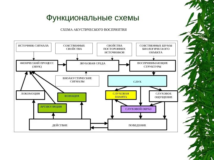 Описание функционального процесса. Функциональные типы ОЭЗ схема. Типы функциональных схем. Функциональные источники сигналов схема. Вид функциональной схемы.